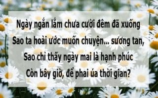 Bỏ lúc trăm năm