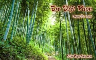 Bài thơ Tre Việt Nam