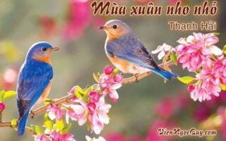 Mùa xuân nho nhỏ