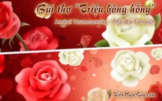 Triệu bông hồng