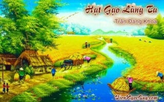 hạt gạo làng ta
