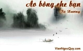 Áo bông che bạn
