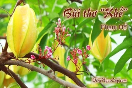 Bài thơ Khế
