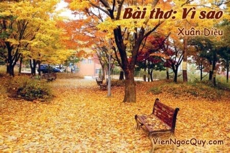 Bài thơ Vì sao - Xuân Diệu