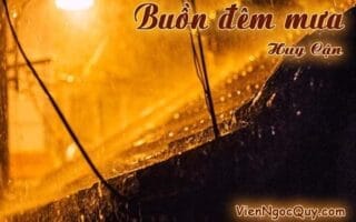 Bài thơ: Buồn đêm mưa