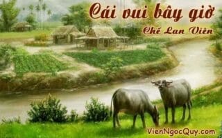 Bài thơ Cái vui bây giờ