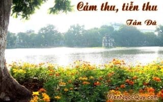 Cảm thu tiễn thu