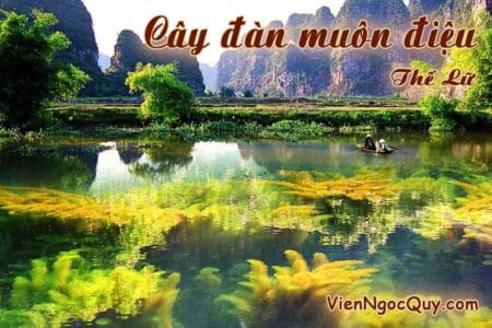 Cây đàn muôn điệu
