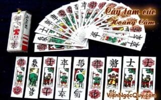 Cây tam cúc