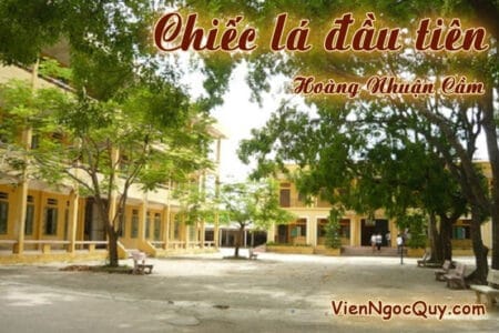Chiếc lá đầu tiên