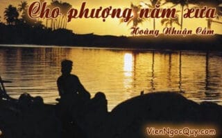 Cho phượng năm xưa