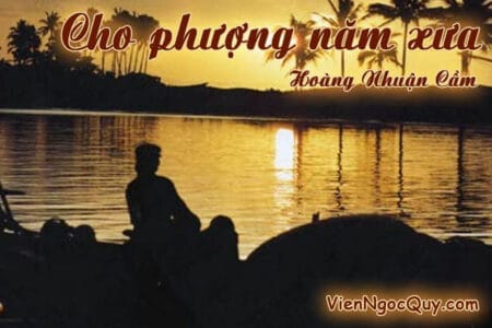 Cho phượng năm xưa