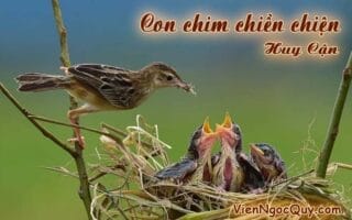 Bài thơ: Con chim chiền chiện