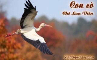 Con cò Chế Lan Viên
