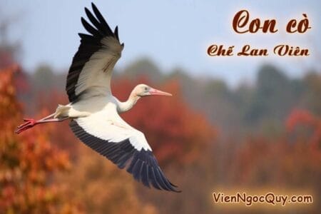 Con cò Chế Lan Viên