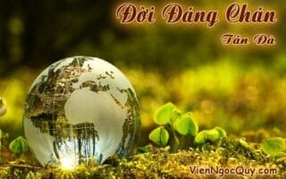 Đời Đáng Chán