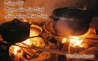 Đông Chí – Ngọn Lửa Gia Đình Giữa Lòng Mùa Đông