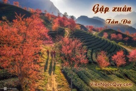 Gặp xuân