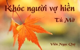 Bài thơ: Khóc người vợ hiền