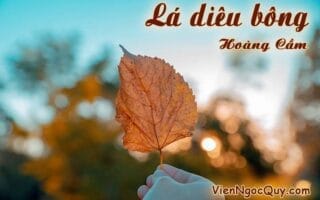 Bài thơ Lá diêu bông