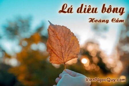 Bài thơ Lá diêu bông