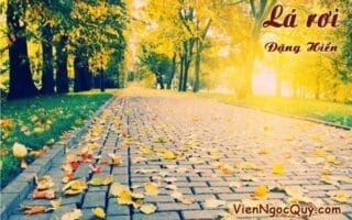 Lá rơi Đặng Hiển