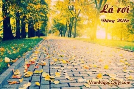 Lá rơi Đặng Hiển