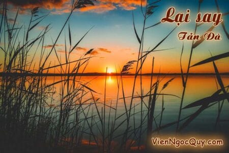 Lại say