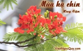 Bài thơ: Mùa hạ chín
