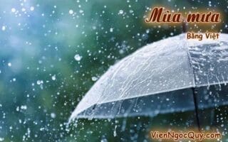 Mùa mưa Bằng Việt
