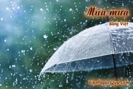 Mùa mưa Bằng Việt