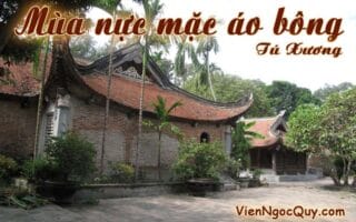 Mùa nực mặc áo bông