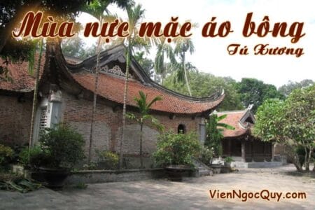 Mùa nực mặc áo bông