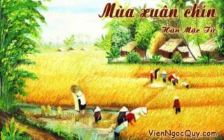 Mùa xuân chín