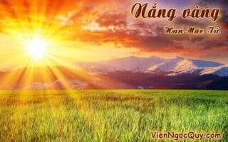 Nắng vàng