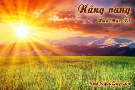Nắng vàng