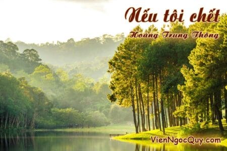 Nếu tôi chết