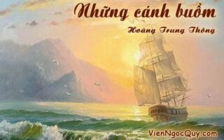 Những cánh buồm