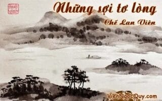 Những sợi tơ lòng
