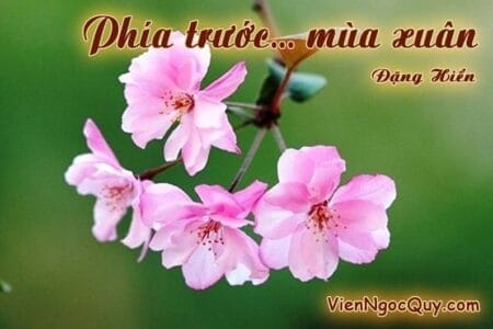 Phía trước mùa xuân