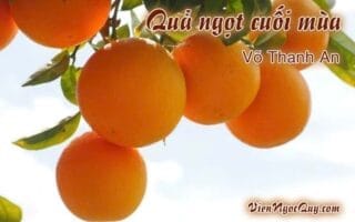 Quả ngọt cuối mùa