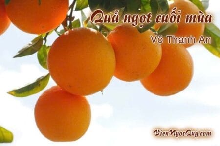 Quả ngọt cuối mùa