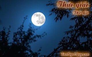 Thức giấc Thế Lữ