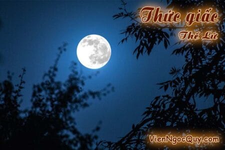 Thức giấc Thế Lữ