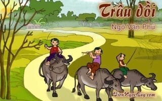 Trâu đồi