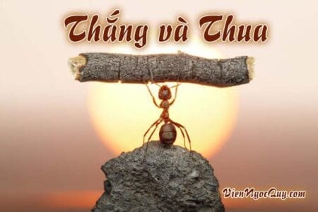 thắng và thua