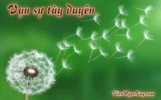 vạn sự tùy duyên