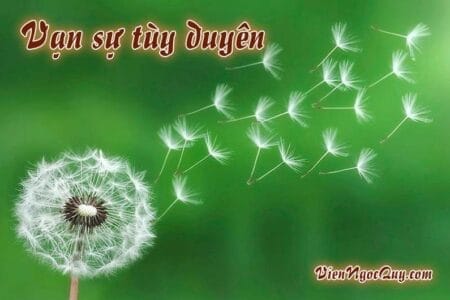 vạn sự tùy duyên