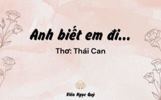 Cảm nhận bài thơ: Anh biết em đi... – Thái Can