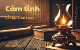 Cổ học tinh hoa: Cảm tình
